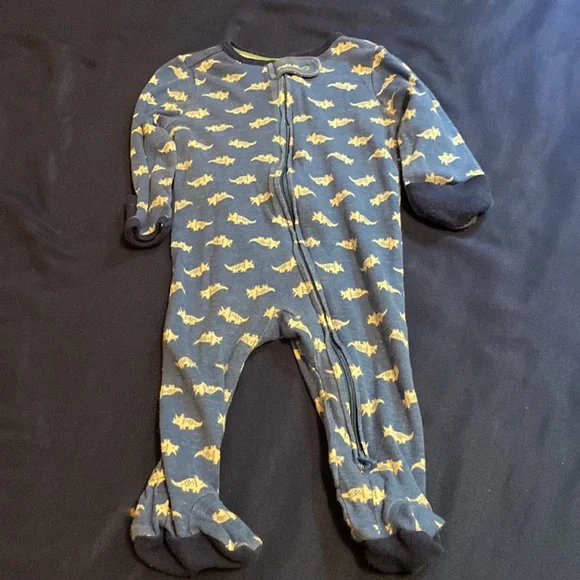 For the Love of Dinosaurs 🦕 🦖 - Picture 4 of 5